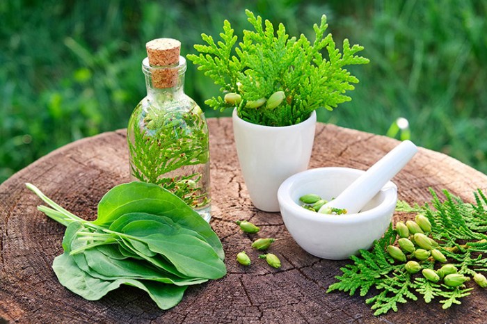 5 bài thuốc trị viêm da dầu bằng thảo dược tự nhiên